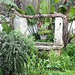 Casa vacanze Fiore *