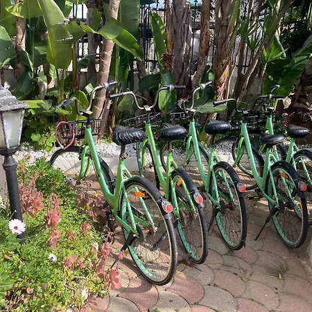 Fiore * 加利波利