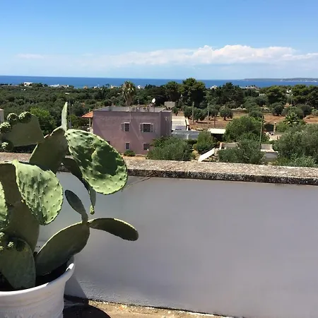 Fiore