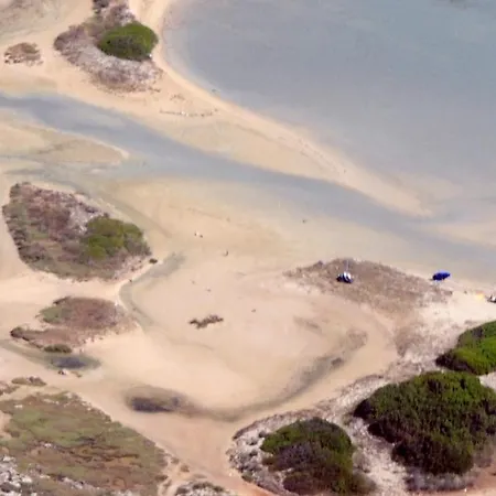 Fiore * غالّيبولي