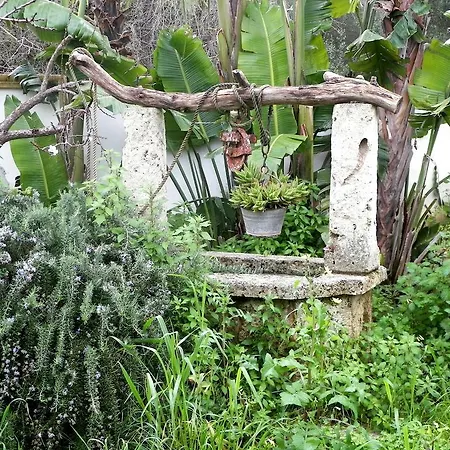 Ferienhaus Fiore *